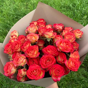 Розы кустовые №161