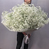 Букет Гифсофила №260 - Фото 1