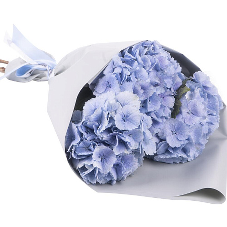 Букет из 3 голубых гортензий - Фото 3