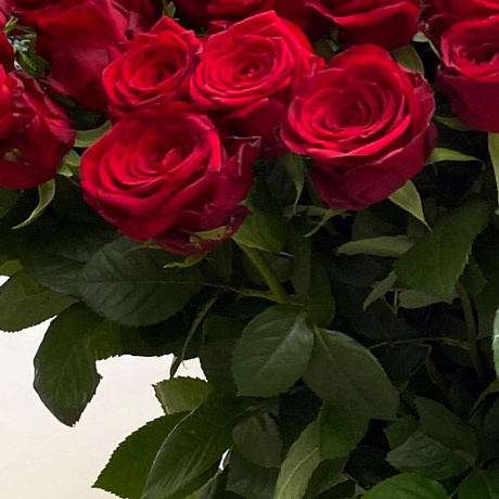 Букет 51 красная роза Red Naomi 60 см - Фото 3