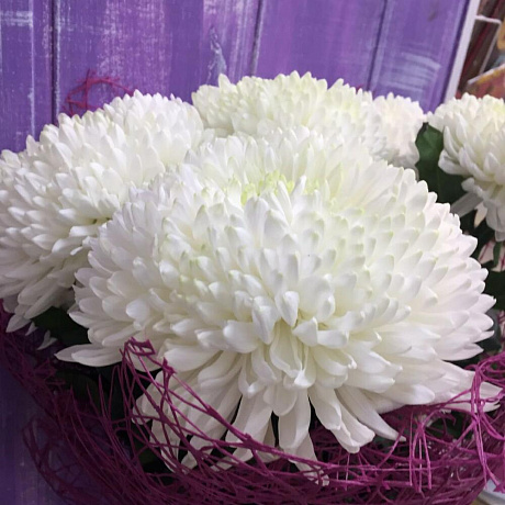 Букет Магнум - Фото 3