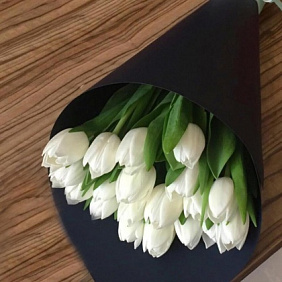 19 белых тюльпанов