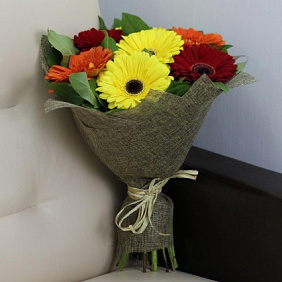 7 Гербер микс