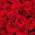 101 красная премиальная роза - Фото 5