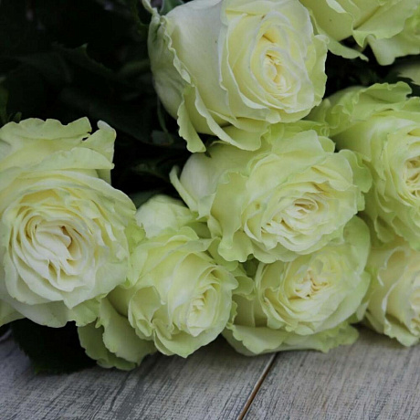 Роза Эквадор Мондиаль 15 штук - Фото 3