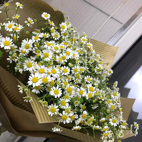 Букет Ромашки №212 - Фото 5