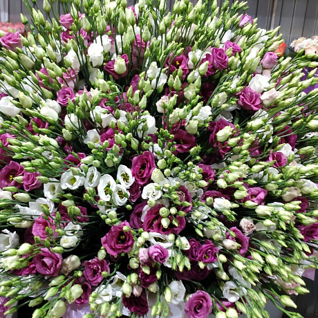 Букет цветов Роскошь №161 - Фото 6