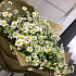 Букет Ромашки №212 - Фото 5
