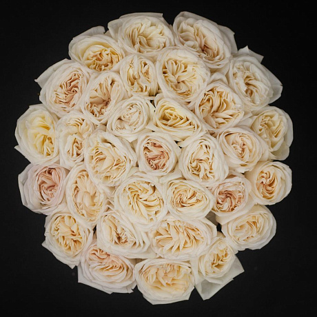 Ароматные эквадорские розы White O`Hara в шляпной коробке XL - Фото 2