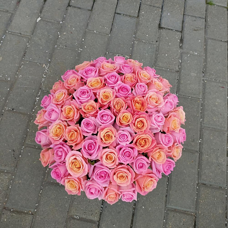 71 роза в черной коробке - Фото 4