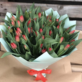 Букет из 51 тюльпана №161