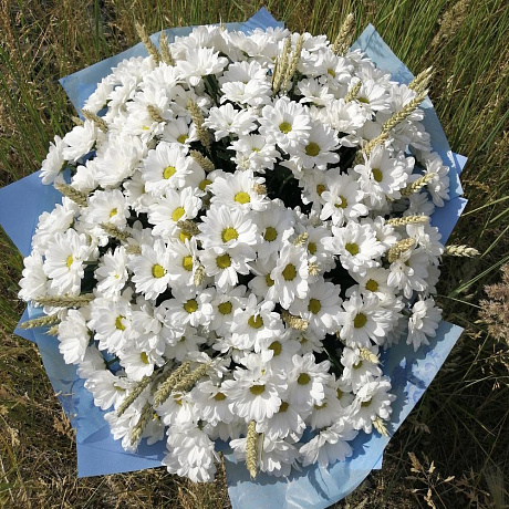 Большой букет из хризантем Ромашковое облако - Фото 6