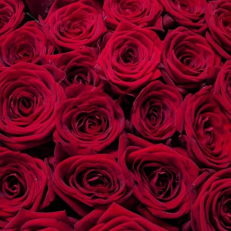 Букет цветов Red naomi - Фото 4