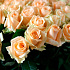 101 кремовая роза (70 см) - Фото 6