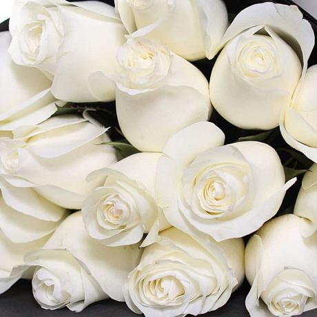 Букет из 15 роз Proud - Фото 3