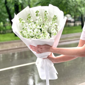 Букет цветов "Матиола"
