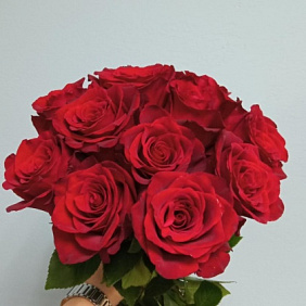 Шикарная эквадорская роза 11 шт