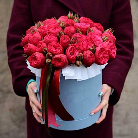 11 красных пионовидных роз Премиум в голубой шляпной коробке