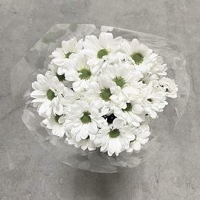 Монобукет из хризантем №162