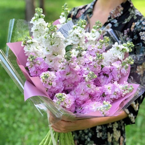Букет цветов "Душистая маттиола"