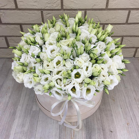 61 эустома в бархатной коробке - Фото 4