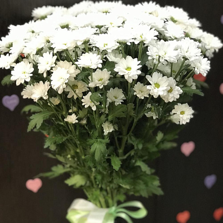Букет цветов Ромашка №165 - Фото 4