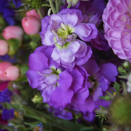 Коробка с цветами Luxury Flowers Мечты о Провансе - Фото 6