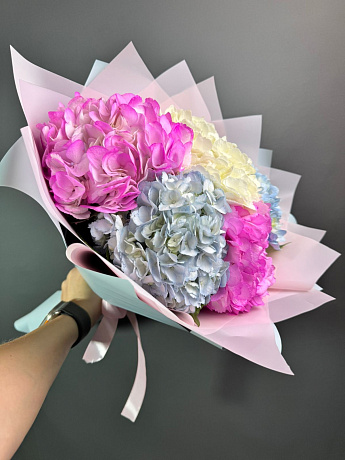 Гортензия премиум микс - Фото 2