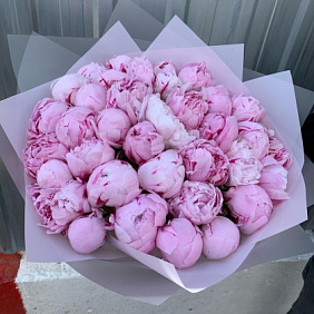 Нежные пионы №164