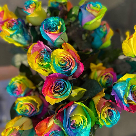 Роза Эквадор RAINBOW - Фото 5