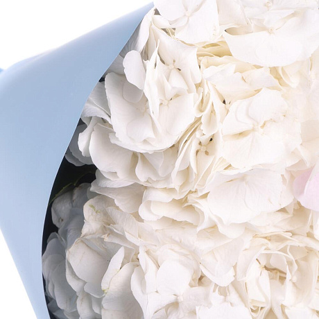 Букет из 3 белых гортензий - Фото 3