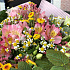 Букет цветов Москва ждёт лето - Фото 2