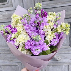 Букет из 11 разноцветных маттиол