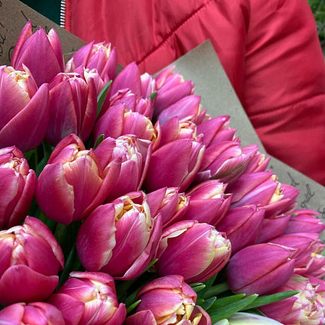 Тюльпаны пионавидные - Фото 6