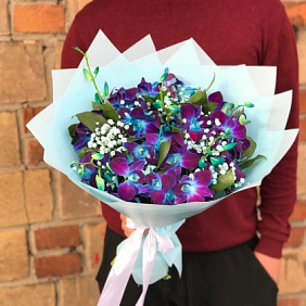 Орхидеи космические