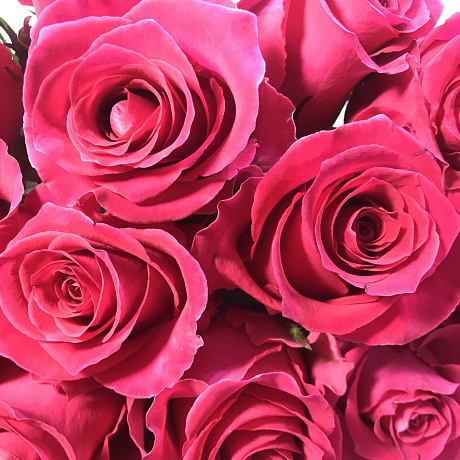 Букет 19 малиновых роз 50 см - Фото 6