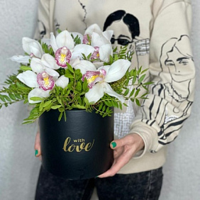 Коробочка с цимбидиумом