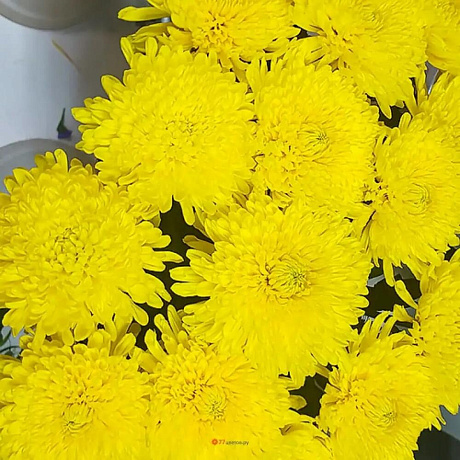 Букет Манго - Фото 5