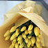 Желтые тюльпаны №160 - Фото 4