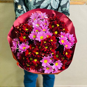 Букет из 11 кустовых хризантем №162