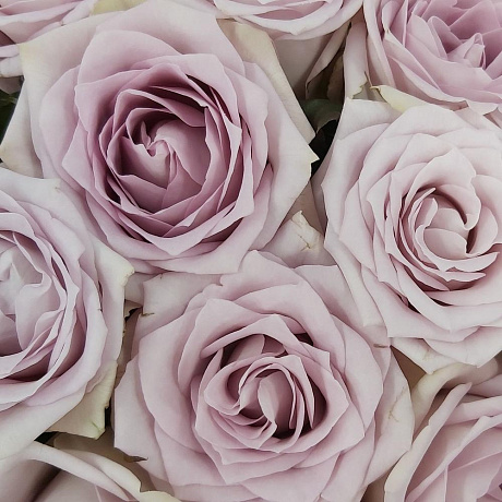 15 сиреневых розочек - Фото 5
