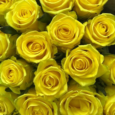 Букет Mono солнечный - Фото 2