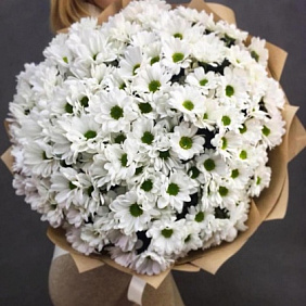 Ромашка №167