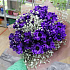 Букет цветов Черничный - Фото 5
