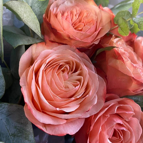 Букет цветов Калиста - Фото 4