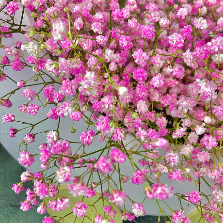 Букет цветов Малышка №162 - Фото 3