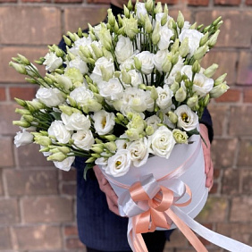 Эустома в коробке №162