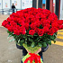 51 Роза Эквадорская красная - Фото 1