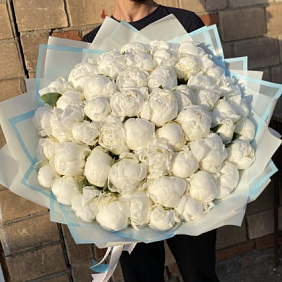 Букет из 51 молочных пионов