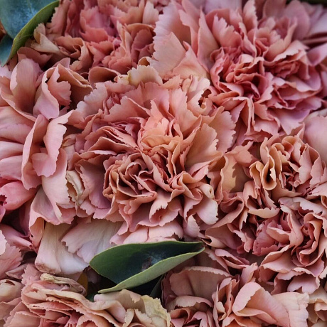 Букет Диэла - Фото 6